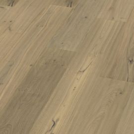 Oak No 21 - Warwick